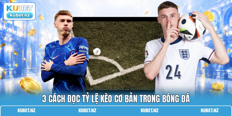 3 cách đọc tỷ lệ kèo cơ bản trong bóng đá